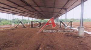 cara beternak ayam petelur