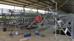 peralatan kandang close house