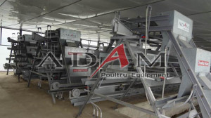 kandang closed house