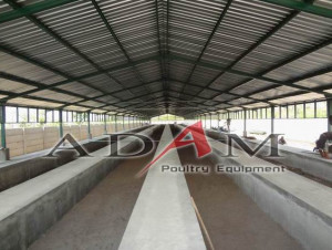 cara beternak ayam petelur