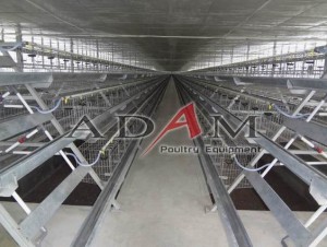 Kandang Ayam Closed House