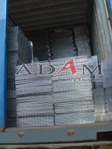 Kandang-Batre-Ayam-Petelur