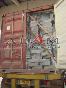 pengiriman kandang ke mando