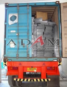 pengiriman kandang ayam broiler