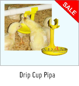 tempat minum ternak