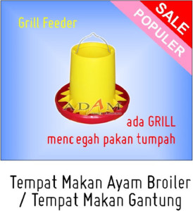 alat pakan ternak