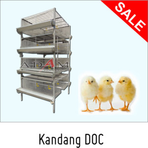 kandang doc modern