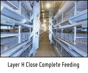 Kandang ayam dari kawat kurungan baterai broiler peralatan alat ternak peternakan unggas pedaging adam poultry malang