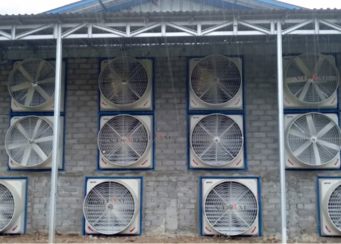 Kandang Broiler Sistem Closed House Ayam Petelur Box Fan Blower Exhaustfan